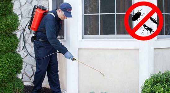 Kaynaklar Tahtakurusu İlaçlama böcek ilaçlama ve haşere kontrolü — ilaclama-tr.com